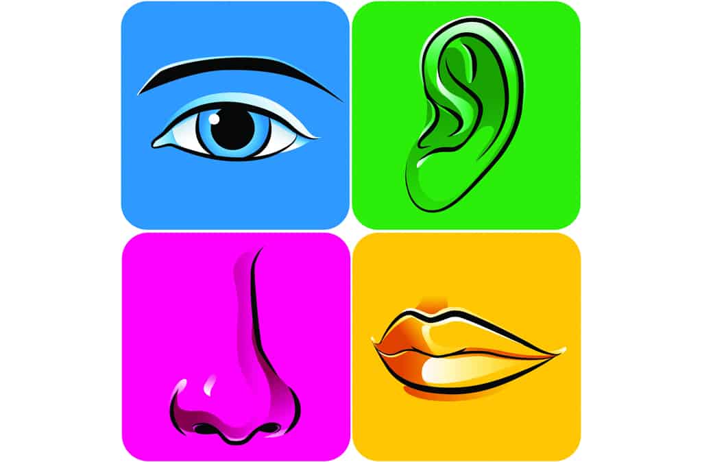 marketing sensoriel et expérientiel