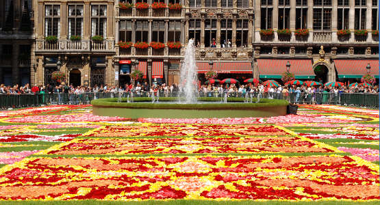 bruxelles bruxelles